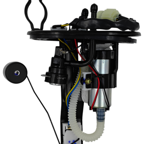 Delpher Fuel Pump Assembly For KTM Duke 200 (2013-2016 BS4 Models) (Manufacturer Part Number:-JG171800)